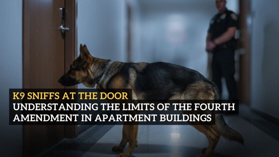 United States v Johnson